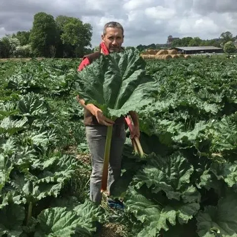 valentin vermes